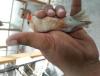 post-3467-0-22900600-1406062872_thumb.jp